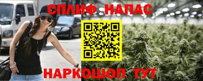 гашик Нальчик